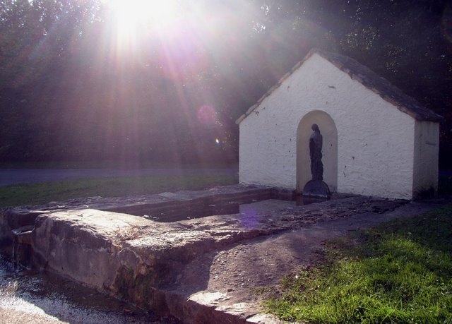 2007 10 Bois de Rochefort 29